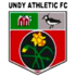 Crest — Undy Athletic AFC