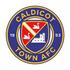 Emblema Caldicot Town FC