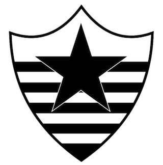 Crest — Botafogo Esporte Clube (Teresina)